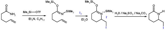 Lactam Lactam Wikipedia