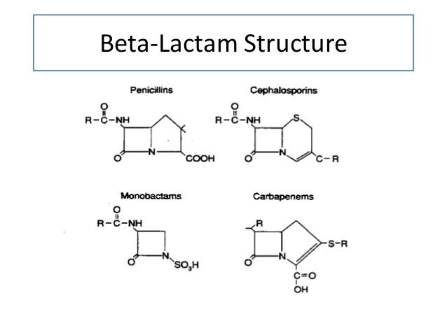 Lactam Beta Lactam Antibiotics