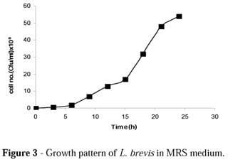 Lactobacillus brevis Arginine specific aminopeptidase from Lactobacillus brevis