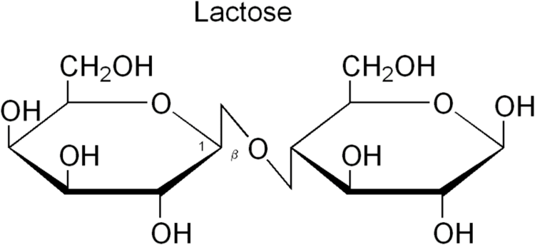 Lactose Definition gt Lactose