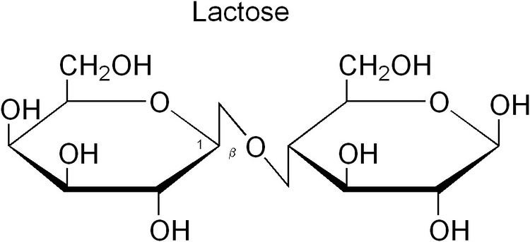 Lactose lactose The Biochemistry Questions Site