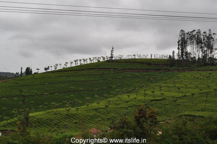Lady Canning's Seat, Coonoor wwwitslifeinwpcontentuploads201310travell