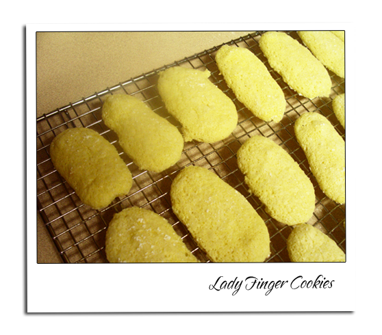 Ladyfinger (biscuit) Lady Finger Cookies