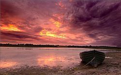 Lady's Island Lake httpsuploadwikimediaorgwikipediacommonsthu