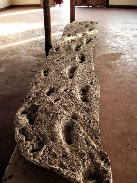 Laetoli Ancient Digger Archaeology The Laetoli Footprints Explained