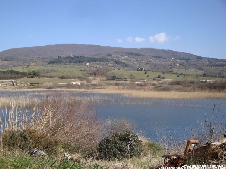 Lago Boracifero, Monterotondo Marittimo wwwbellezzedellatoscanaitphotosLagoBoracifero