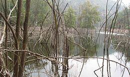 Lago Ravasanella httpsuploadwikimediaorgwikipediacommonsthu