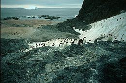 Lagotellerie Island httpsuploadwikimediaorgwikipediacommonsthu