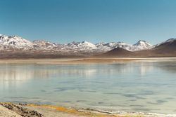 Laguna Blanca (Bolivia) httpsuploadwikimediaorgwikipediacommonsthu