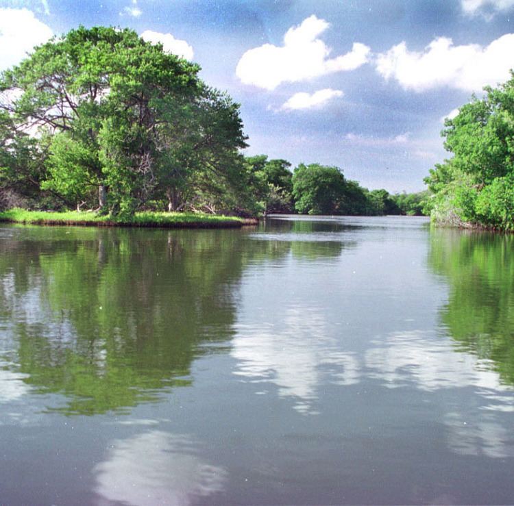 Laguna de la Restinga