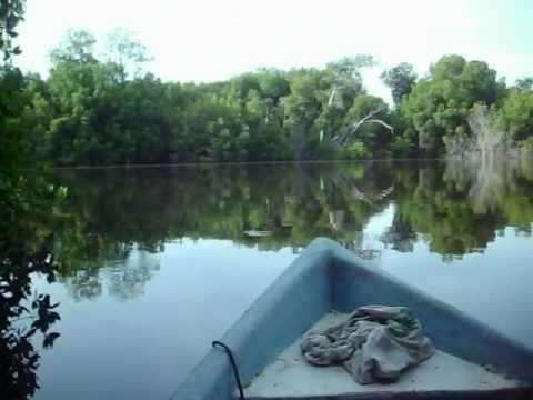 Laguna de Manialtepec LAGUNA DE MANIALTEPEC OAXACA YouTube