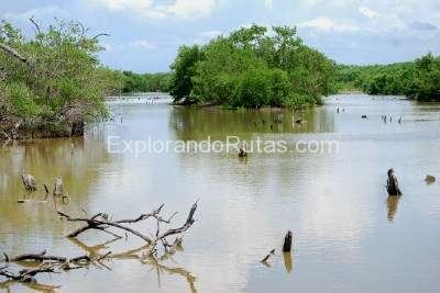 Laguna de Tacarigua Laguna de Tacarigua Venezuela ExplorandoRutascom