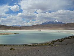 Laguna Hedionda (Nor Lípez) httpsuploadwikimediaorgwikipediacommonsthu