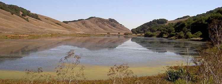 Laguna Lake (California) httpsuploadwikimediaorgwikipediacommonsthu