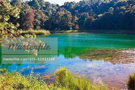 Lagunas de Montebello National Park Reflection of trees in water Lagunas De Montebello National Park