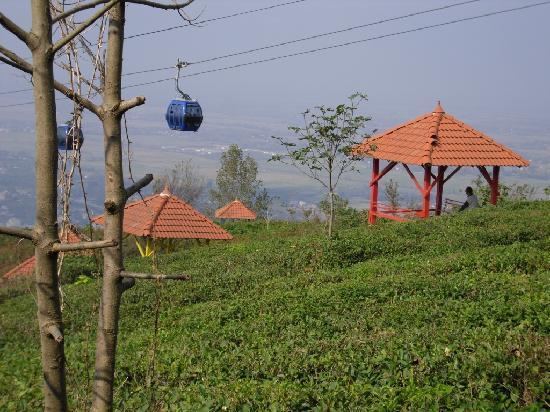 Lahijan Cuisine of Lahijan, Popular Food of Lahijan