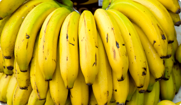 Lakatan banana Lacatan Bananas Del Monte Philippines