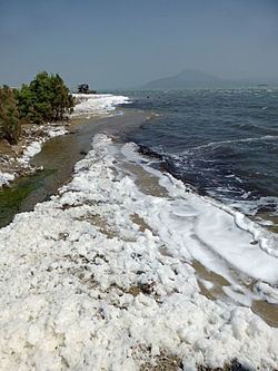 Lake Afrera httpsuploadwikimediaorgwikipediacommonsthu