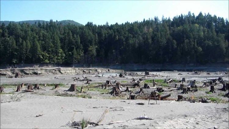 Lake Aldwell Lake bed exposed after dam removed Lake Aldwell Elwha River