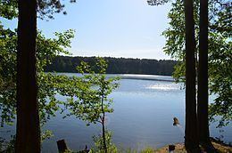 Lake Balžis httpsuploadwikimediaorgwikipediacommonsthu