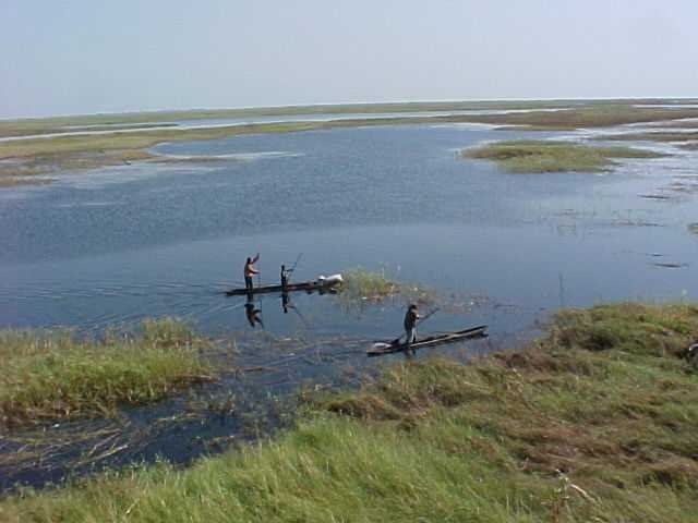 Lake Bangweulu wwwzambiatourismcommediabangweuluaerialjpg