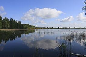 Lake Beloye, Ryazan Oblast httpsuploadwikimediaorgwikipediacommonsthu