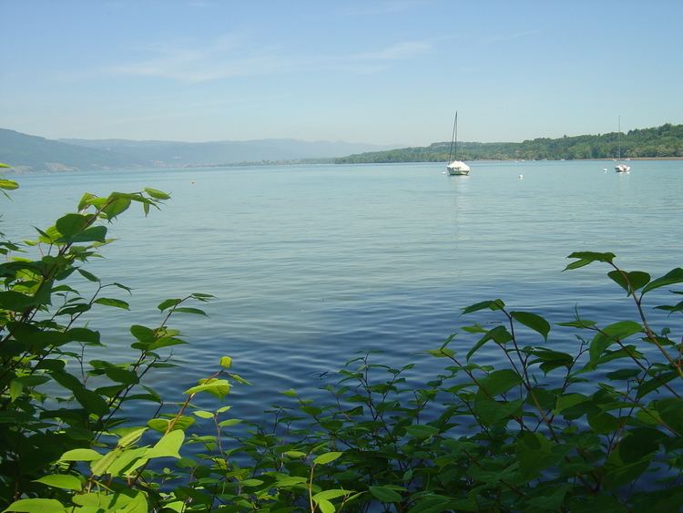 Lake Biel httpsuploadwikimediaorgwikipediacommonsaa