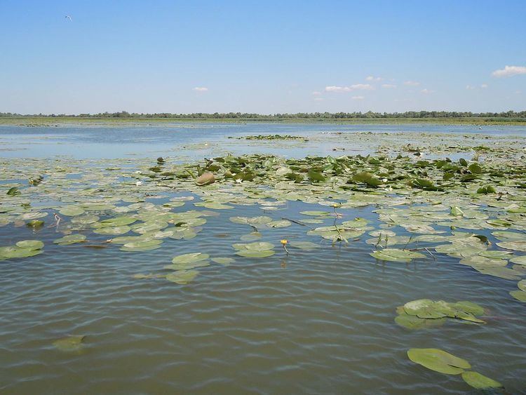 Lake Bile httpsuploadwikimediaorgwikipediacommonsthu