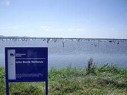 Lake Borrie Wetlands httpsuploadwikimediaorgwikipediaenthumbd