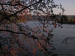 Lake Bütgenbach httpsuploadwikimediaorgwikipediacommonsthu