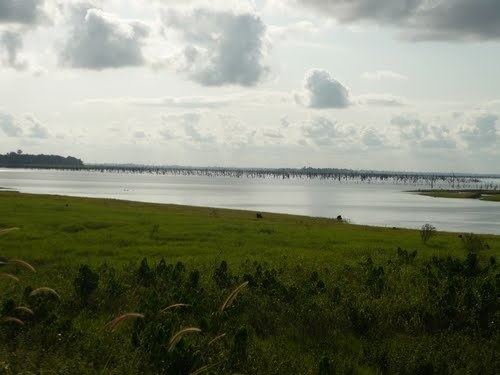 Lake Buyo httpsmw2googlecommwpanoramiophotosmedium
