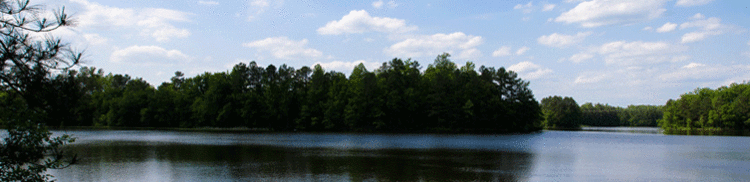 Lake Chesdin Dinwiddie County Tourism VA Official Website Lake Chesdin