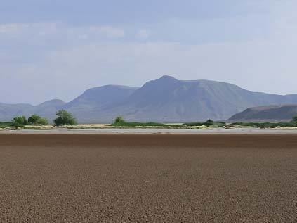 Lake Chew Bahir Grevy39s Zebra Trust Conservation in Chew Bahir southern Ethiopia