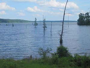 Lake D’Arbonne httpsuploadwikimediaorgwikipediacommonsthu