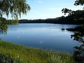 Lake Drīdzis httpsuploadwikimediaorgwikipediacommonsthu