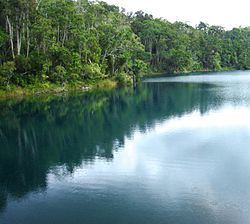 Lake Eacham httpsuploadwikimediaorgwikipediacommonsthu