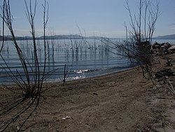 Lake Elsinore httpsuploadwikimediaorgwikipediacommonsthu