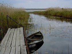 Lake Engure httpsuploadwikimediaorgwikipediacommonsthu