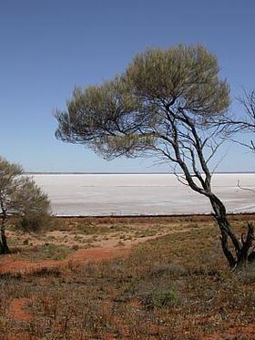 Lake Eyre basin httpsuploadwikimediaorgwikipediacommonsthu