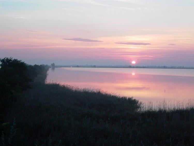 Lake Fehér (Szeged) szegedtourismhuwpcontentuploads201601Pusks