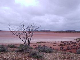 Lake Gairdner httpsuploadwikimediaorgwikipediacommonsthu