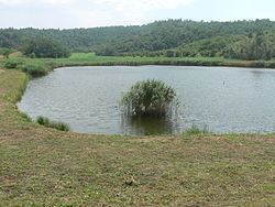 Lake Garancsi httpsuploadwikimediaorgwikipediacommonsthu