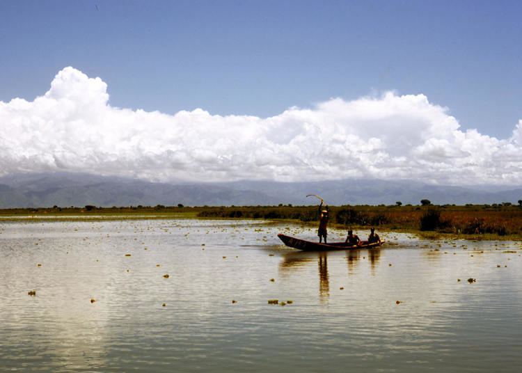 Lake George (Uganda) africhthyorgsitesafrichthyorgfilesLakeGeorge