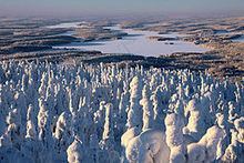 Lake Iijärvi (Inari) httpsuploadwikimediaorgwikipediacommonsthu