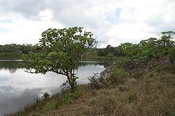 Lake Kaulime httpsuploadwikimediaorgwikipediacommonsthu