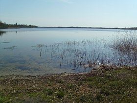 Lake Klooga httpsuploadwikimediaorgwikipediacommonsthu