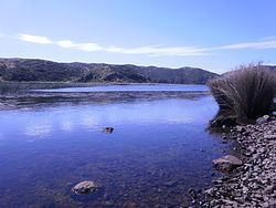 Lake Kohangatera httpsuploadwikimediaorgwikipediacommonsthu