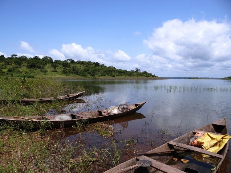 Lake Kossou httpsuploadwikimediaorgwikipediacommons11