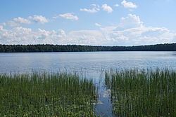 Lake Käsmu httpsuploadwikimediaorgwikipediacommonsthu