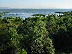 Lake Kuş httpsuploadwikimediaorgwikipediacommonsthu